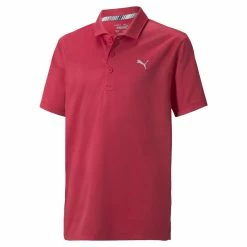 Puma Junior Boys Essential Polo -Golf Sales Store puma junior boys essential polo ski patrol 01 37317.1666792348